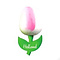  houten tulp op een magneet wit - roze