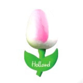 wooden tulip white - pink on a magnet
