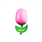  wooden tulip pink / white on a magnet