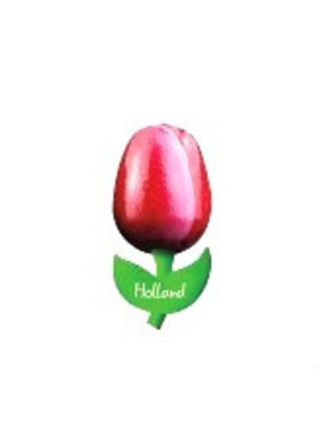 rood-witte houten tulp op een magneet