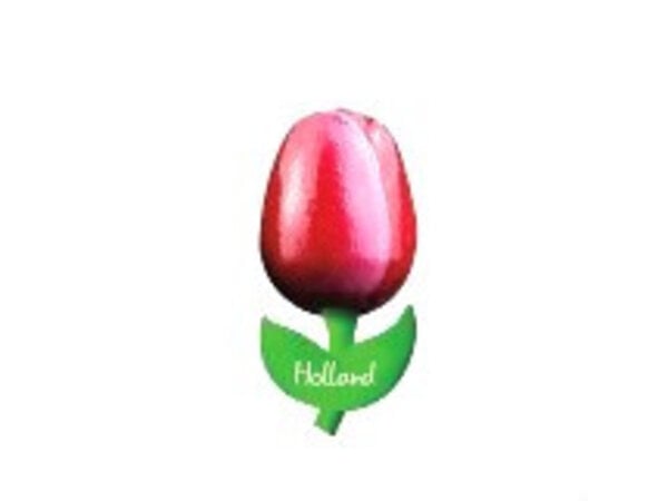 red and white wooden tulip on a magnet red and white wooden tulip on a magnet