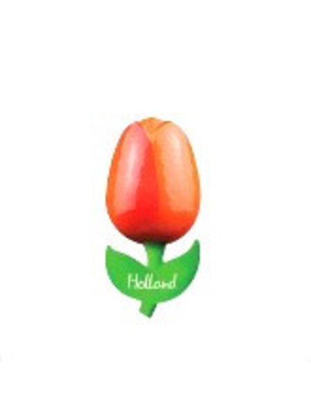 houten tulp op een magneet oranje
