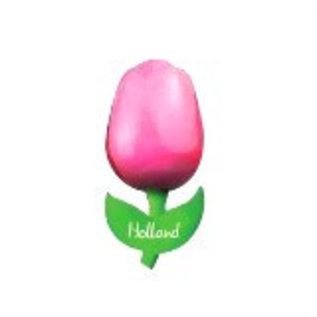 wooden tulip pink on a magnet