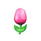  wooden tulip pink on a magnet
