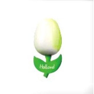 houten tulp op een magneet wit