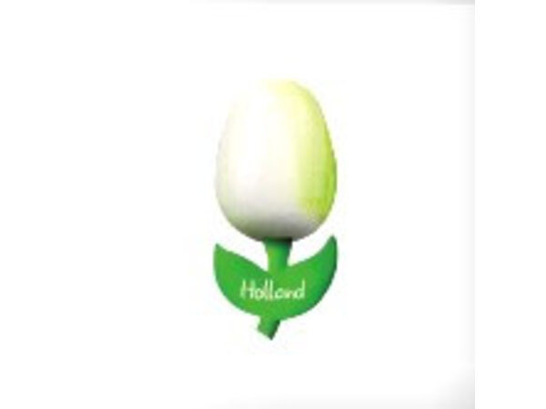 houten tulp op een magneet wit