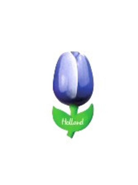 hölzerne Tulpe auf einem Magnet blau