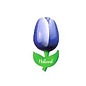 hölzerne Tulpe auf einem Magnet blau