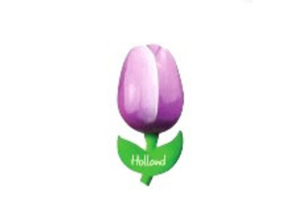 houten tulp op een magneet paars