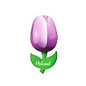 wooden tulip purple on a magnet