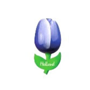 houten tulp op een magneet blauw