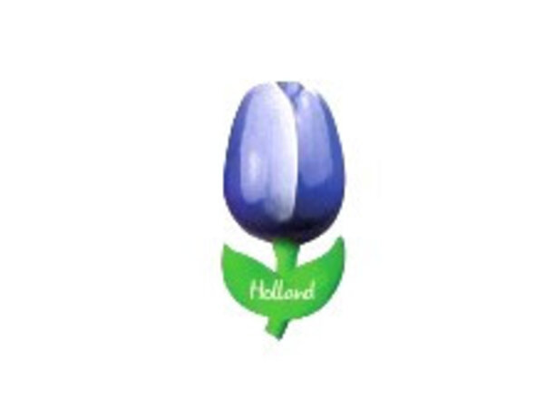 houten tulp op een magneet blauw