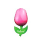 houten tulp op een magneet roze