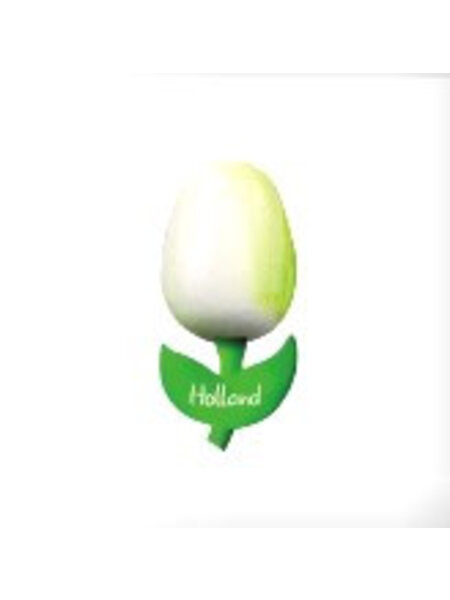 houten tulp op een magneet wit