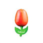 houten tulp op een magneet oranje