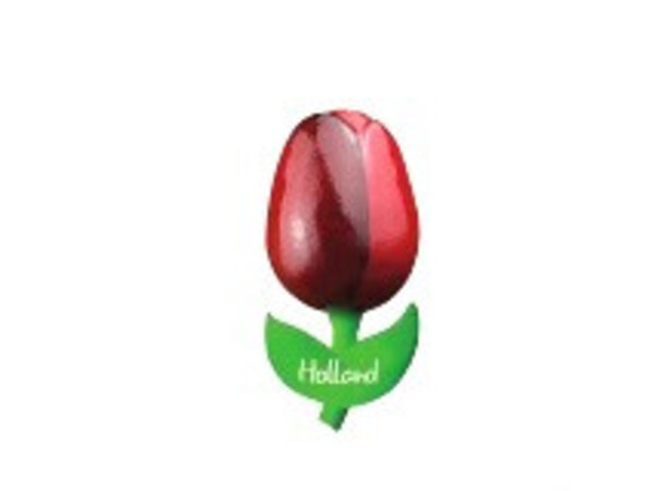 wooden tulip on a magnet red