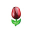 houten tulp op een magneet rood