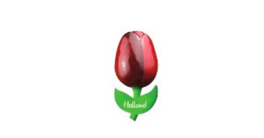 kleine hölzerne Tulpen auf einem Magneten