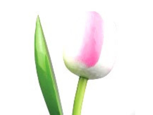 Holztulpen in Weiß/Rosa