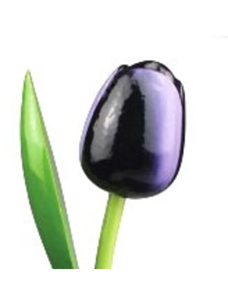 Wooden Tulip Dark Purple