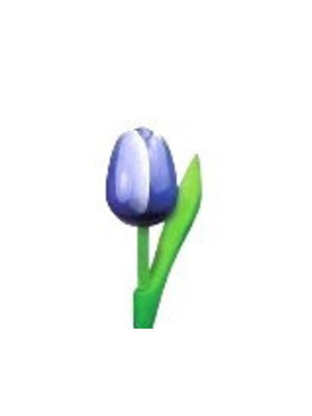 houten tulpen in de kleur blauw 20cm