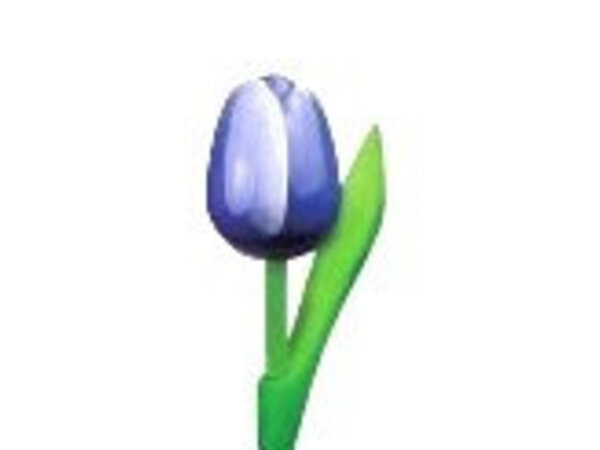 houten tulpen in de kleur blauw 20cm