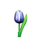  wooden tulips blue 20cm