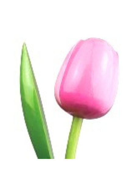 Wooden Tulips in Pink - White