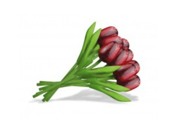 Boeket Rode Houten Tulpen