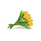  Boeket Gele Houten Tulpen