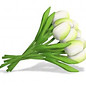 Bouquet white wooden tulips