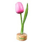 hölzerne Tulpe auf einem Fuß in der Farbe rosa / weiß