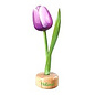 Holz Tulpe zu Fuß in violett
