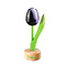  wooden tulip on a pedestal in dark purple