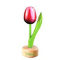 wooden tulip on foot in red / white