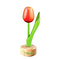  Holz Tulpe zu Fuß in orange