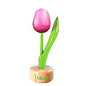 wooden tulip on foot in pink