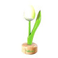 houten tulp op een voet in de kleur wit