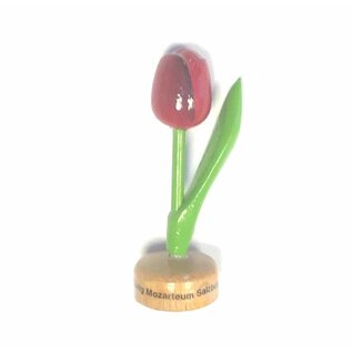 houten tulp met logo op voet in diverse kleuren