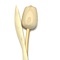 Tulpen aus Holz, klar geschliffen
