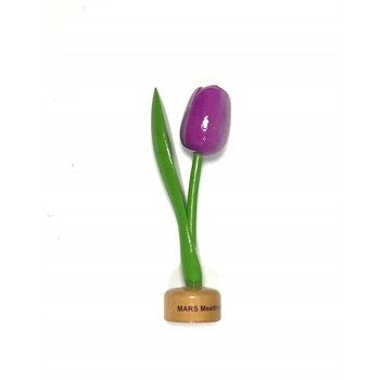 houten tulpen met logo op voet in diverse kleuren
