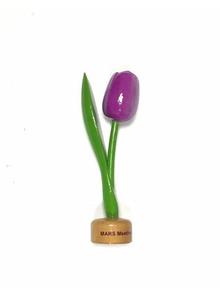 houten tulpen met logo op voet in diverse kleuren