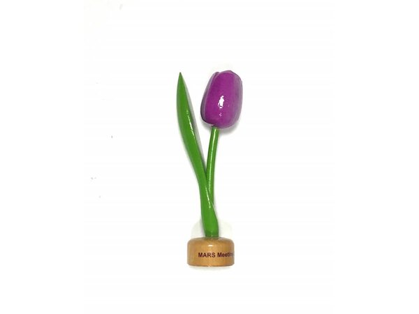 Wooden tulips with logo on pedestal in various colors
