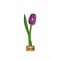  Holz Tulpen mit Logo auf Fuß in verschiedenen Farben