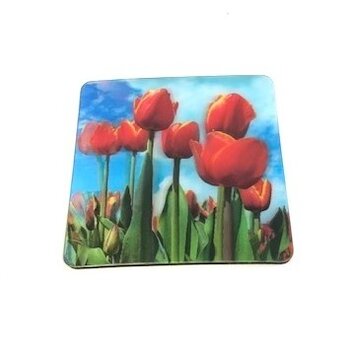 3 D coasters tulips