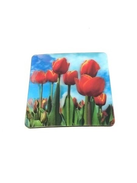 3 D Untersetzer Tulpen