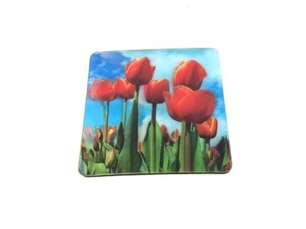 3 D coasters tulips