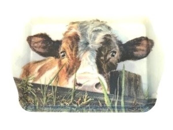 Tray with cow