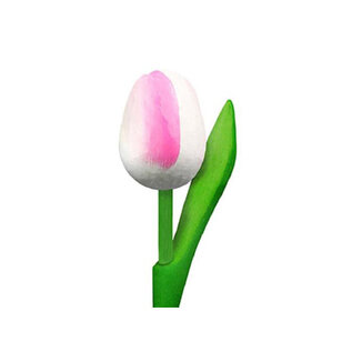 wooden tulip with text 20 cm in various colors