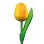 wooden tulip with text 20 cm in various colors